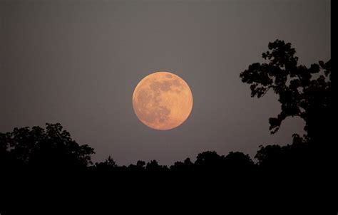 Moon 74. . Moonrise today
